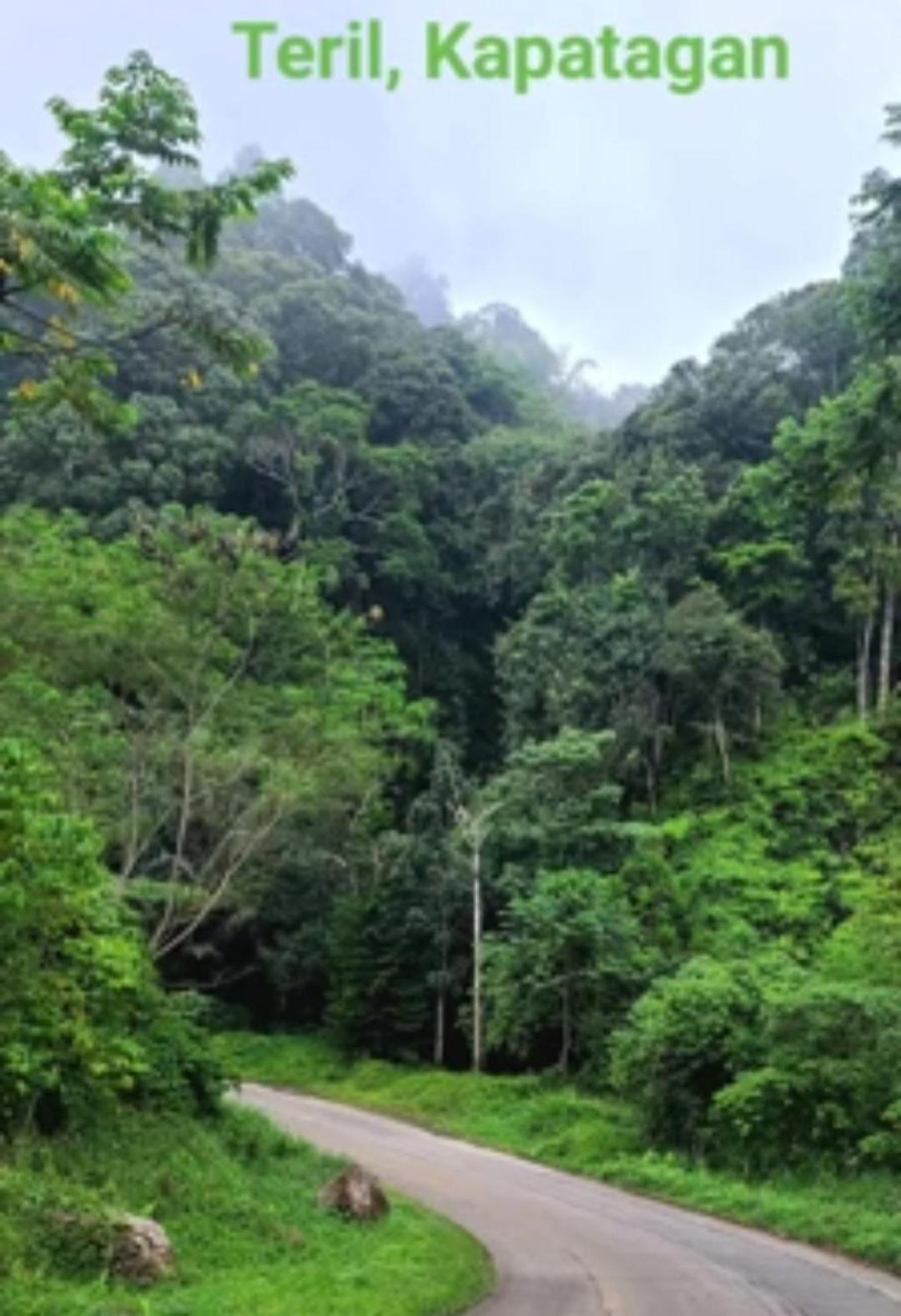 Serene Mountain Escape Digos Bagian luar foto