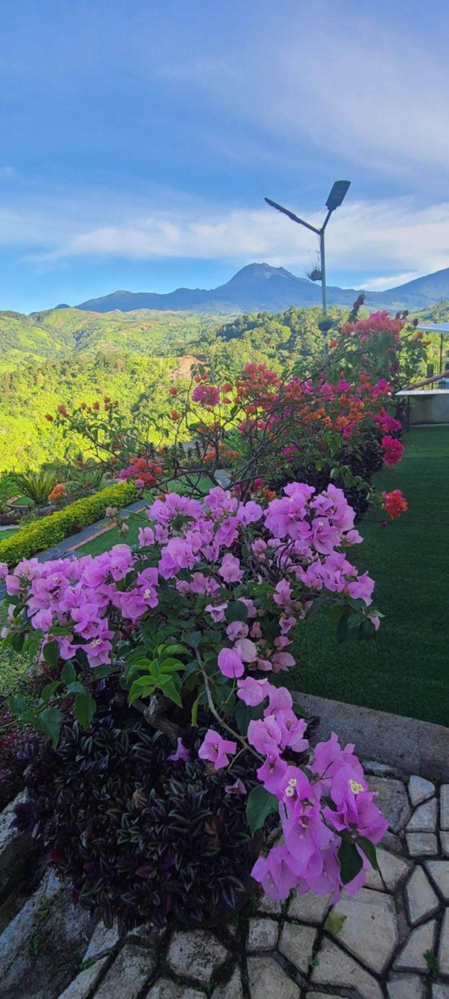 Serene Mountain Escape Digos Bagian luar foto